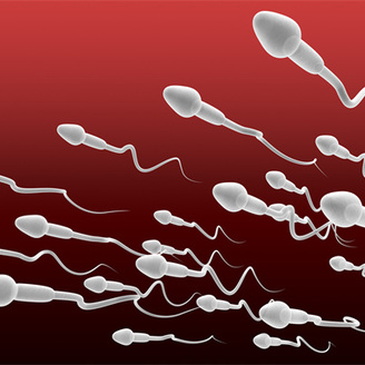 北医三院精子库收费标准是怎样的?北医三院精子库价格表揭晓