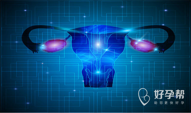 女性输卵管导丝介入术的费用与怀孕时机