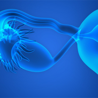 女性检查出多囊卵巢，还能怀孕吗?需要做试管来助孕吗?