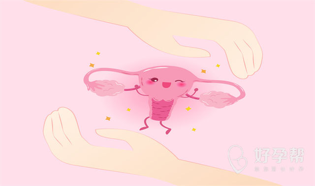 女性子宫内膜薄，能否做试管?成功率又如何?