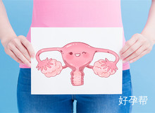 女性子宫内膜厚:刮宫的必要性与对怀孕的影响