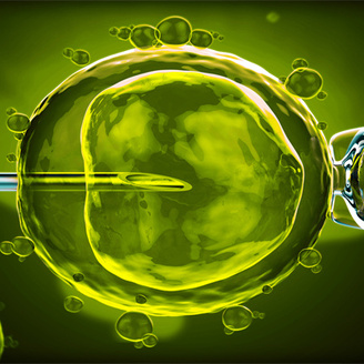 山东大学附属生殖医院试管婴儿费用需多少钱?成功率怎么样?