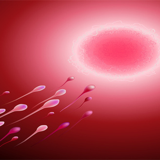 北京哪家医院做人工授精手术成功率较高?人工授精的流程是什么?