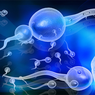 男性备孕精液做检查的意义是什么?精液检查费用需要多少钱?