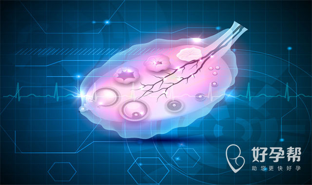 女性备孕：输卵管僵硬怎么回事?输卵管僵硬影响怀孕吗?