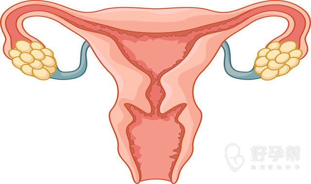 试管输卵管做什么检查最好-输卵管造影有必须要做吗