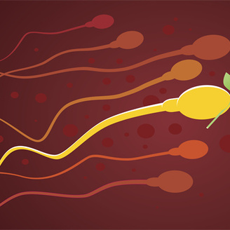 天津爱维医院男性试管检查精子费用与出结果时间