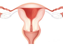 什么是子宫腺肌瘤症状表现？子宫腺肌瘤对怀孕有影响吗？