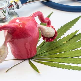 女性备孕：输卵管造影步骤与注意事项全解析