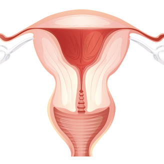 解析:女性多囊卵巢综合症的症状表现和危害是什么?