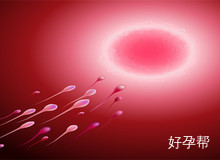 河北省秦皇岛市做人工授精哪里比较好?排名5强医院名单公布!