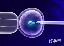 香港三代试管生男孩价格需多少?最新收费价格一目了然