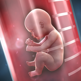 枣庄市妇幼保健院目前做试管婴儿大概需要多少钱