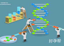 试管检查染色体：费用与主要内容解析