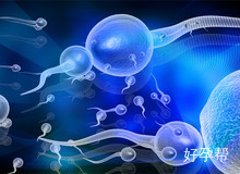 试管需要检查精子形态学吗?试管检查大概多少钱?