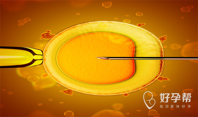 泰国试管婴儿医院如何选*别及费用概览