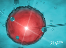 泰国试管婴儿医院费用价格表及超全省钱攻略一览