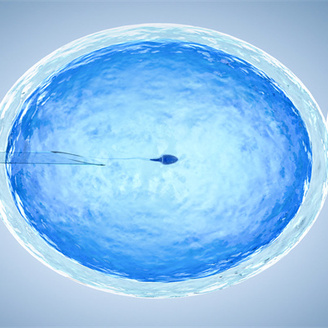 试管科普：输卵管取卵后多久可以自然怀孕?