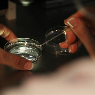 泰国试管婴儿医院大全排名最新：六家优选助孕医院榜单一览