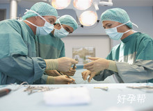 2025河南省试管婴儿医院排名一览表!附河南试管费用收费标准!