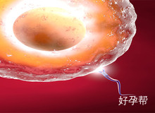 人工授精与试管婴儿：一文了解哪个助孕方式更适合你