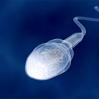 老公检测出精子成活率低怎么办?正常备孕的成功率高吗?