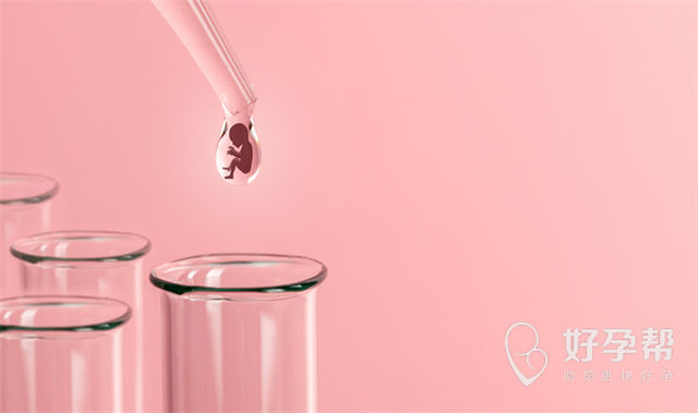 泰国试管婴儿成功率高吗?如何助力一次成功?