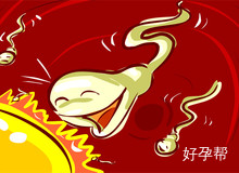 试管取卵后吃什么好?这10样食物可以多吃