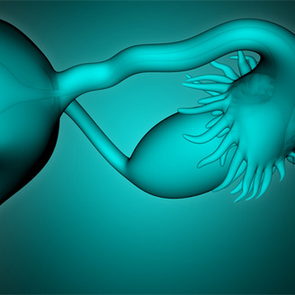 女性备孕左侧输卵管堵塞怎么办?左侧输卵管堵塞还能怀孕吗?