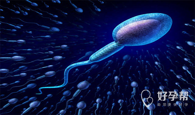 山东省招远市哪家妇产医院可以做人工授精?大概需要多少费用?