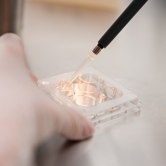 上海三代试管医院哪家成功率比较高？