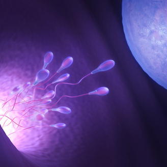 武汉三代试管婴儿费用