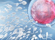 沈阳试管婴儿移植后专业护理全指南：细节决定成功率