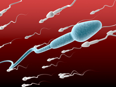 武汉试管婴儿成功与否的最关键的3点因素