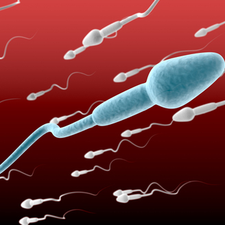 武汉试管婴儿成功与否的最关键的3点因素