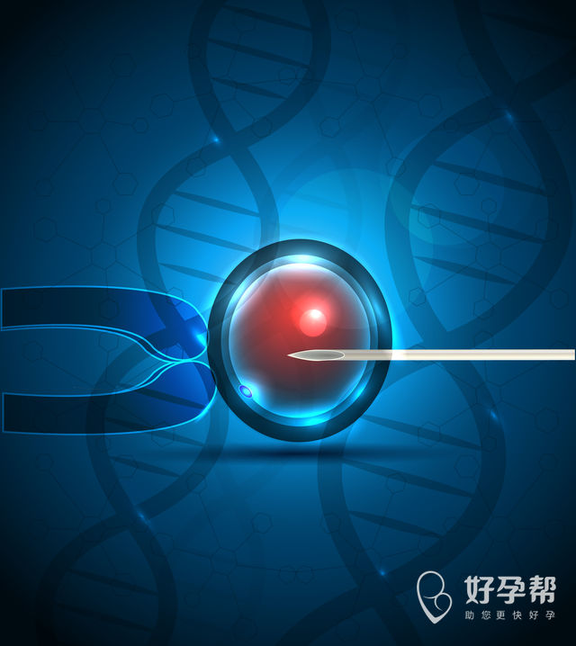 试管婴儿受精是什么时候？试管婴儿受精成功率与哪些因素有关？