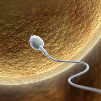 2025年北京私立试管专科医院综合实力榜，试管婴儿领域十大优秀医院