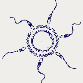 广州试管婴儿技术能否选择胎儿性别？法律与技术的双重解析