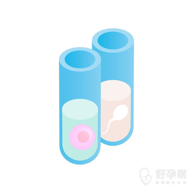 陕西省安康市试管婴儿医院哪家好？2025成功率排名及费用解析