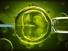 石家庄试管婴儿失败后需重新缴费吗？解析二次移植费用及政策