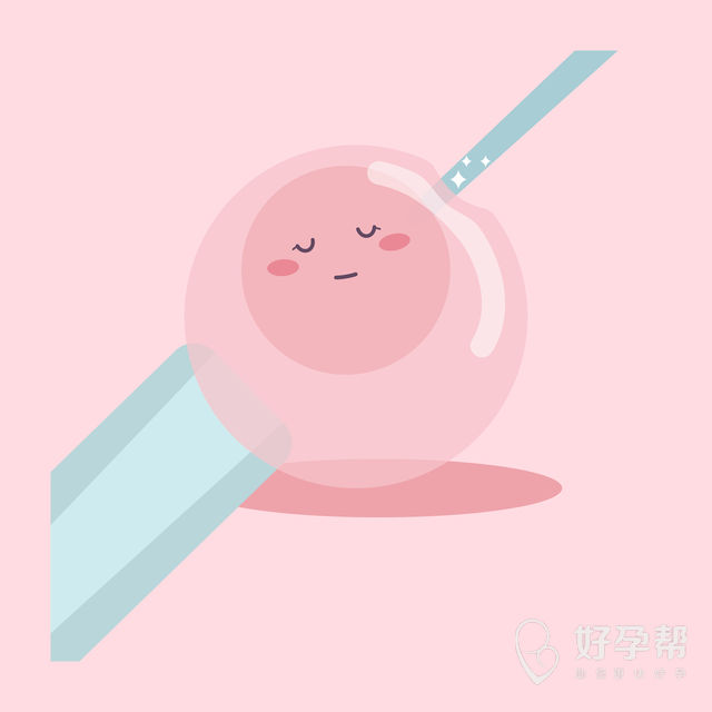 天津试管婴儿医保报销政策解读：哪些费用能报销？如何申请？