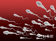 深度思考抗精子抗体是什么？全面解析其对生育的影响及应对方法