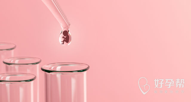 人工授精成功率与年龄关系图解析：35岁以上女性为何成功率骤降？