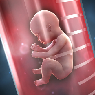 试管自然周期方案流程全解析：从检查到移植的详细步骤