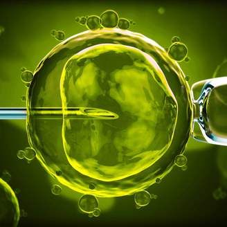 北京市与河北省试管婴儿医院对比:2025年成功率与费用全对比