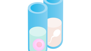 泰国曼谷市试管婴儿全过程经验分享