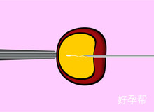 北京市丰台区私立妇产医院排名汇总及试管成功率最高医院推荐