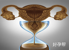 女性卵巢早衰做试管婴儿的成功率高吗?需几次才能备孕成功?