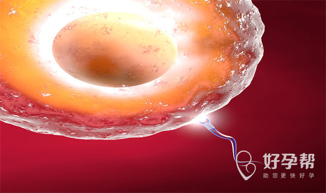 河北省石家庄市做人工授精哪家医院比较好?附人工授精费用一览表!