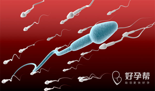 河北省沧州市妇幼保健院人工授精大约多少钱?最新费用明细表!